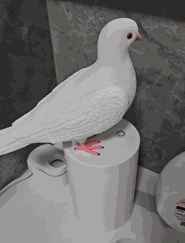 Meme Memes GIF