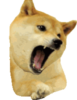 Meme Mene Kya Kiya Sticker