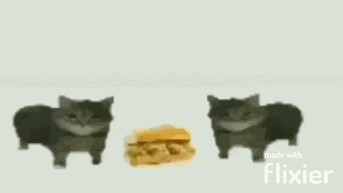 Meme This Is A Sandvich GIF