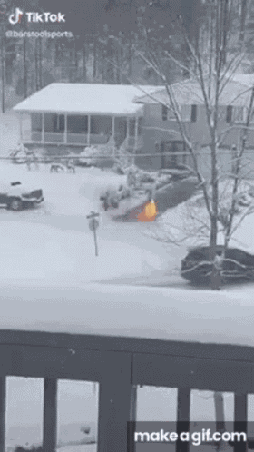 Meme GIF
