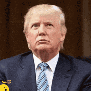 Meme Trump GIF