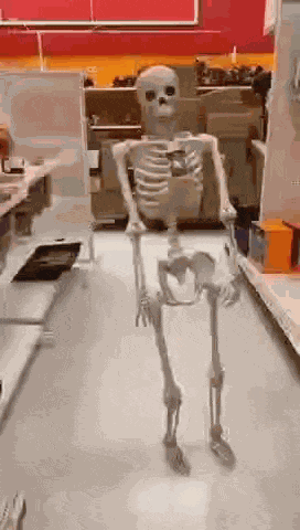 Meme GIF
