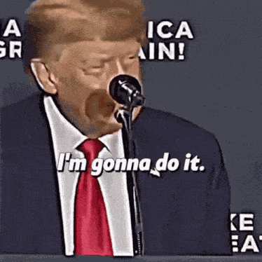 Memes Donald Trump Meme GIF