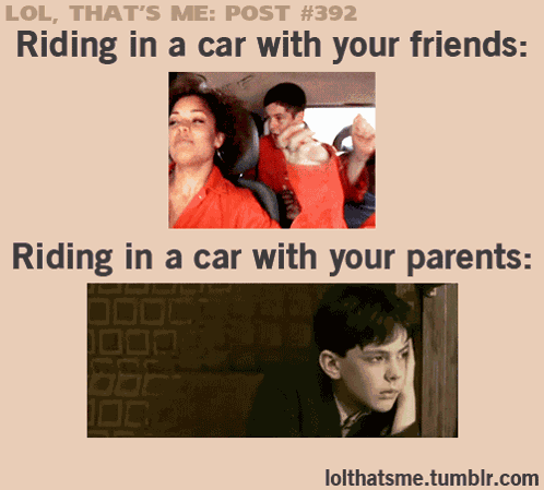 Memes Tumblr GIF