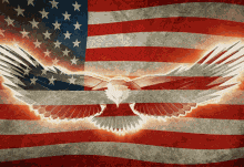 Memorial Day America Eagle Usa Patriot Anerica GIF
