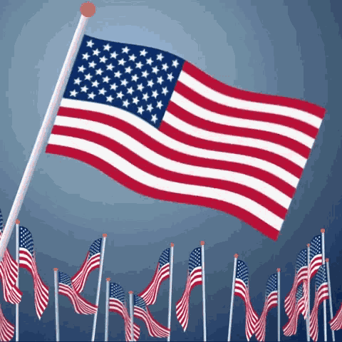 Memorial Day Flag GIF