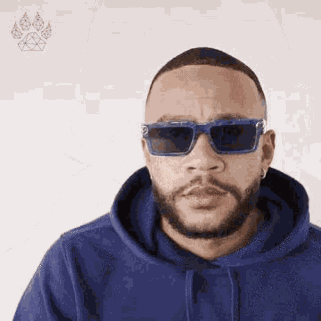 Memphislionsclub Memphis Lions GIF