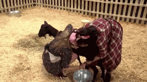 Mencantatusonrisa Milking GIF