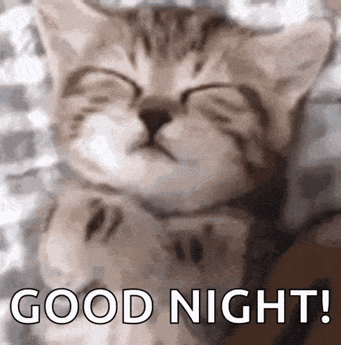 Meo GIF