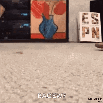 Meow Cat GIF