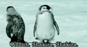 Meow GIF