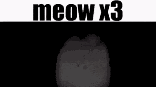 Meow Meow Meow Ahhhhhhhhhhhhhh GIF