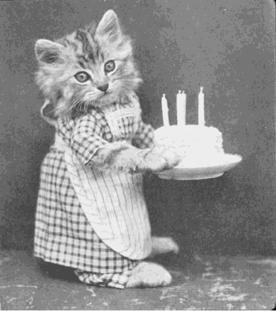 Meow Meow Meow Meow To You Lo La Lion Ess Meme