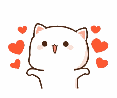 Meowwah GIF