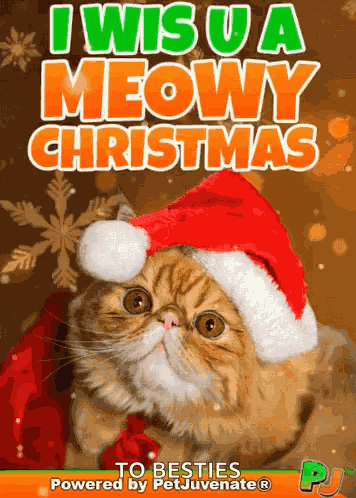 Meowy Christmas Meow Wish Cat Kitty Pj Kitty Christmas Pj Meowy GIF
