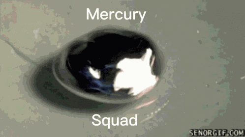 Mercury GIFs
