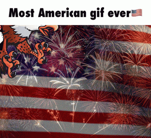 Merica America GIF