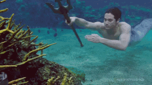 Merman Mako Mermaids GIF