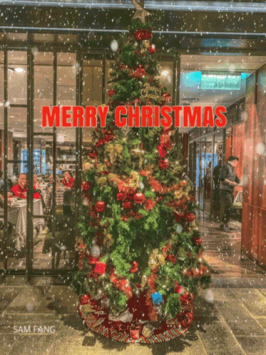 Merry Christmas 新年快樂 GIF
