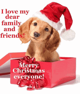 Merry Christmas 2023 Wishes Meme