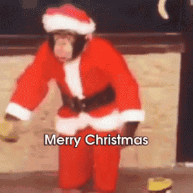 Merry Christmas GIF
