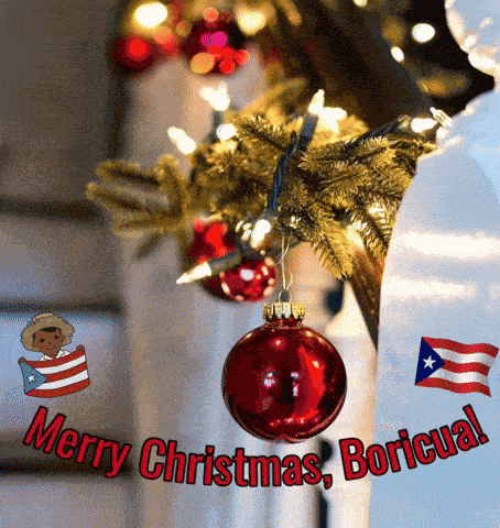 Merry Christmas Boricua Puerto Rico GIF