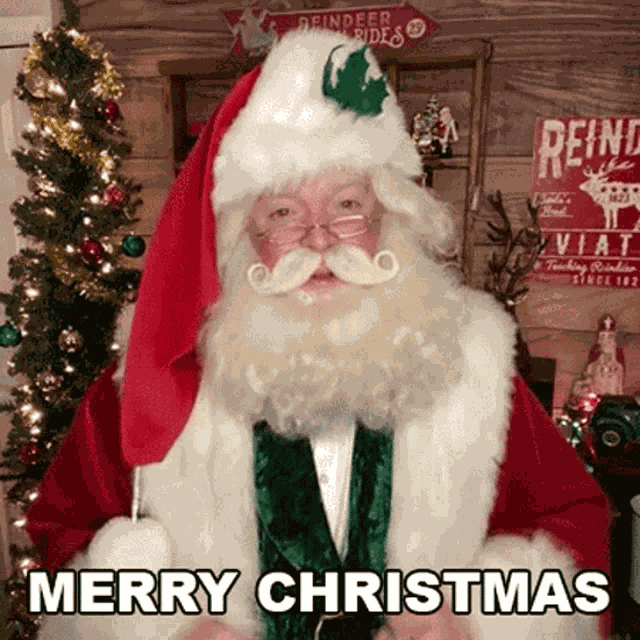 Merry Christmas Cameo GIF