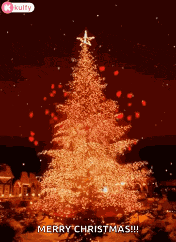 Merry Christmas Christmas GIF