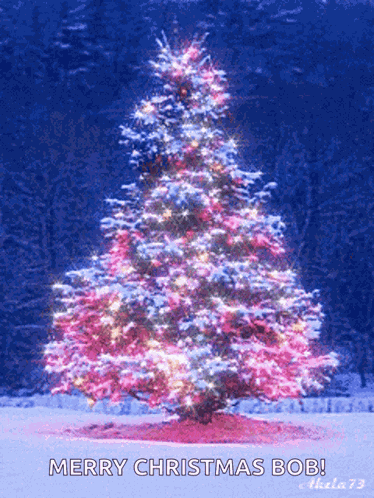 Merry Christmas Christmas Tree GIF