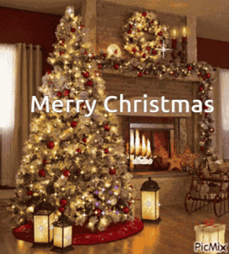 Merry Christmas Christmas Tree GIF