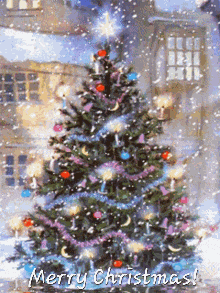 Merry Christmas Christmas Wishes GIF