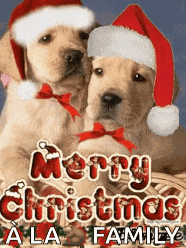 Merry Christmas Dog GIF