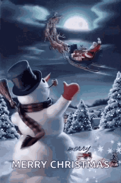 Merry Christmas GIF