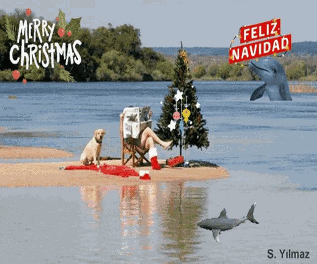 Merry Christmas Feliz Navidad GIF