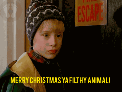 Merry Christmas Funny GIF