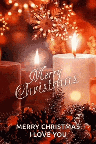Merry Christmas Funny Happy Holidays GIF