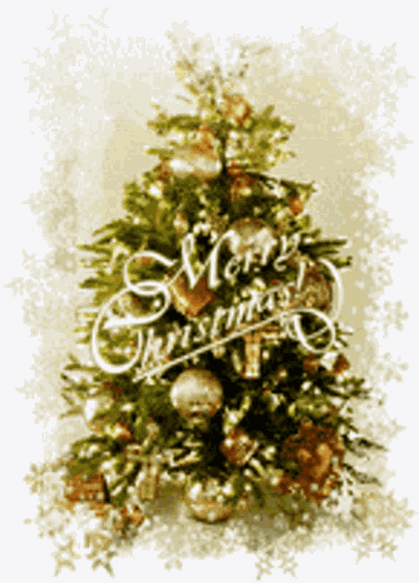 Merry Christmas Greetings GIF