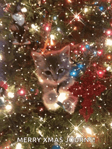 Merry Christmas Happy New Year To All GIF