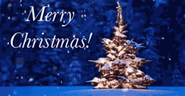 Merry Christmas GIF