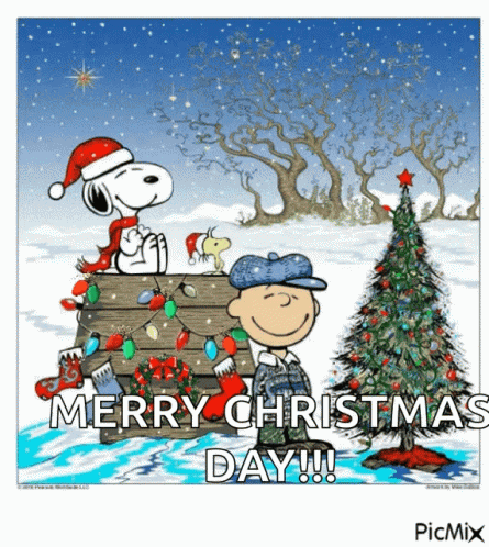 Merry Christmas GIF