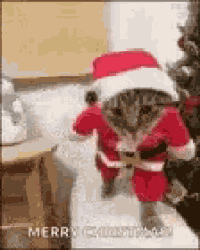 Merry Christmas Santa GIF