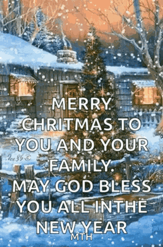 Merry Christmas To You And Your Family GIF