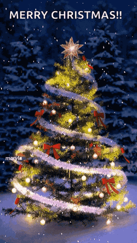 Merry Christmas GIF
