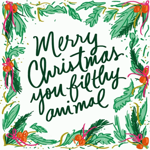 Merry Christmas You Filthy Animal Home Alone GIF