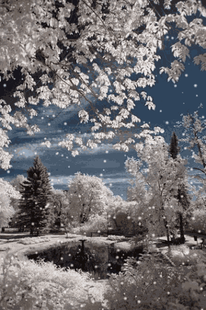 Merry Cjhristmas GIF