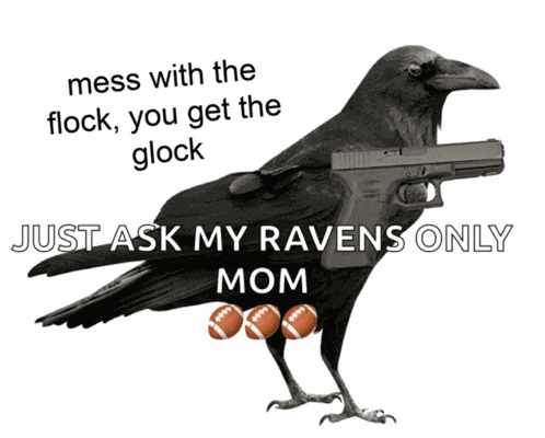 Mess With The Flock You Get The Glock Crow Meme