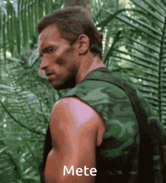 Mete Meteschwarzenegger GIF