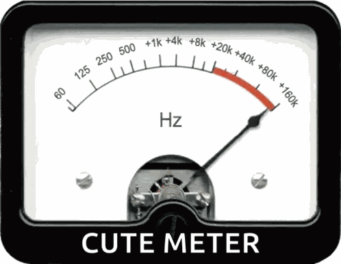 Meter Max GIF