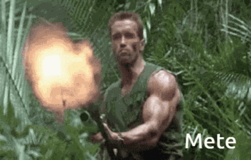 Meteschwarzenegger GIF