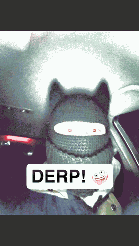 Mevlinbatman Derp GIF